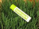 personalized lip balm wedding favor