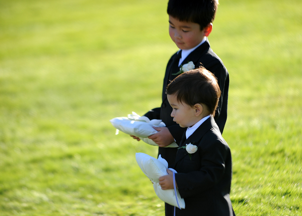 wedding ring pillows in action