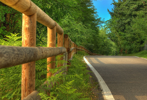 the shortcut the shortcut