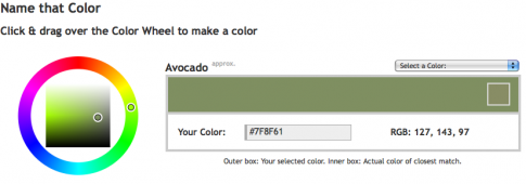 namethatcolor_avocado namethatcolor_avocado